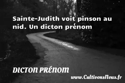 Sainte-Judith voit pinson au nid. Un dicton prénom DICTON PRÉNOM