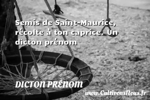 Semis de Saint-Maurice, récolte à ton caprice. Un dicton prénom DICTON PRÉNOM