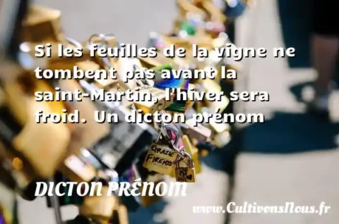 Si les feuilles de la vigne ne tombent pas avant la saint-Martin, l hiver sera froid. Un dicton prénom DICTON PRÉNOM