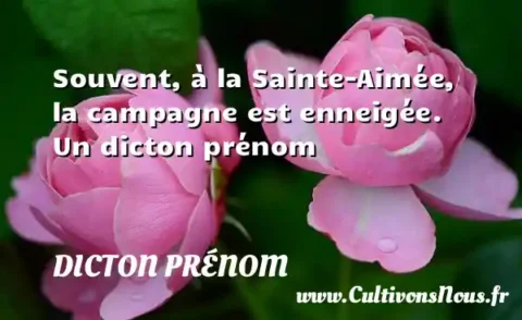 Souvent, à la Sainte-Aimée, la campagne est enneigée. Un dicton prénom DICTON PRÉNOM