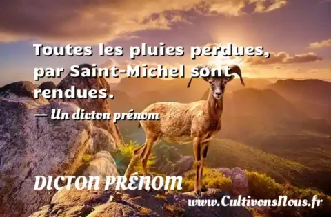 Toutes les pluies perdues, par Saint-Michel sont rendues. - Un dicton prénom DICTON PRÉNOM