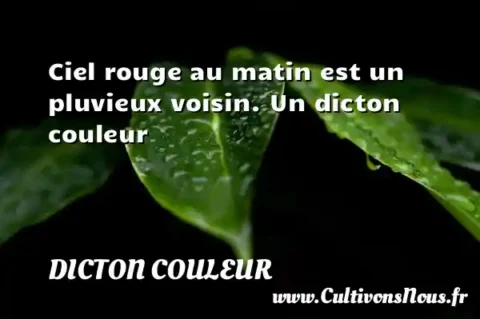 Ciel rouge au matin est un pluvieux voisin. Un dicton couleur DICTON COULEUR