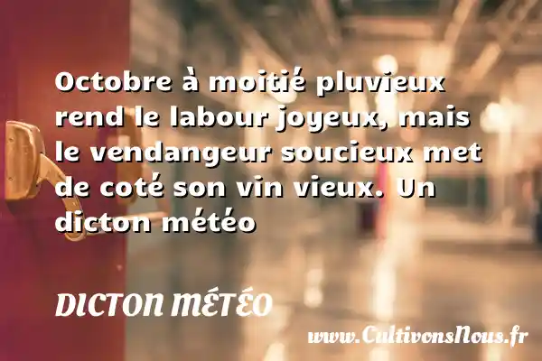 Octobre à moitié pluvieux rend le labour joyeux, mais le vendangeur soucieux met de coté son vin vieux. Un dicton météo DICTON MÉTÉO