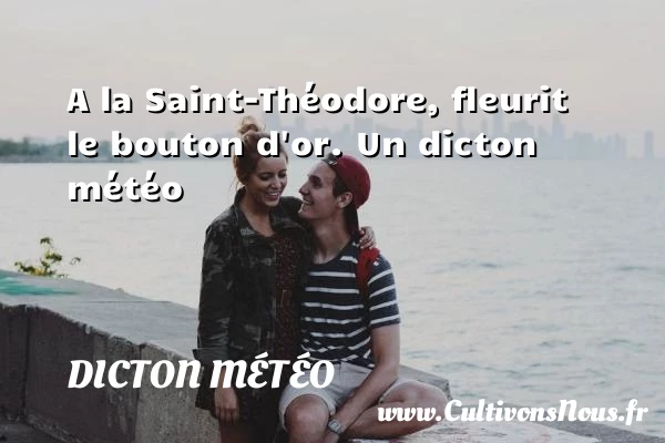 A la Saint-Théodore, fleurit le bouton d’or. - Dicton météo