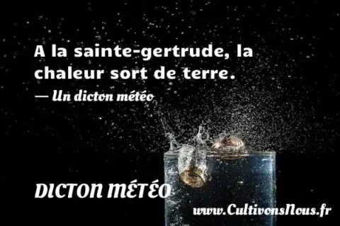 A la sainte-gertrude, la chaleur sort de terre. - Un dicton météo DICTON MÉTÉO