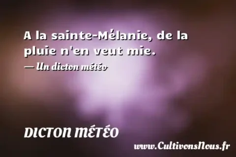 A la sainte-Mélanie, de la pluie n en veut mie. - Un dicton météo DICTON MÉTÉO