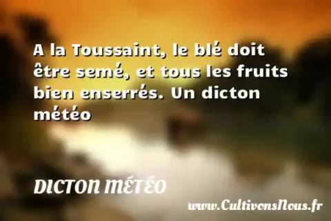 A la Toussaint, le blé doit être semé, et tous les fruits bien enserrés. Un dicton météo DICTON MÉTÉO