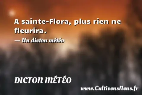 A sainte-Flora, plus rien ne fleurira. - Un dicton météo DICTON MÉTÉO