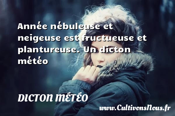 Année nébuleuse et neigeuse est fructueuse et plantureuse. - Dicton météo