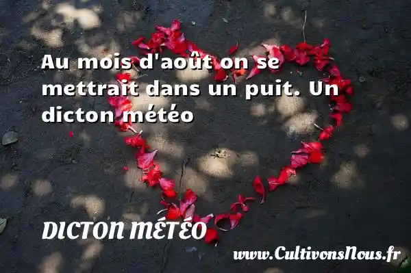 Au mois d août on se mettrait dans un puit. Un dicton météo DICTON MÉTÉO