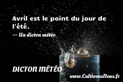 Avril est le point du jour de l été. - Un dicton météo DICTON MÉTÉO