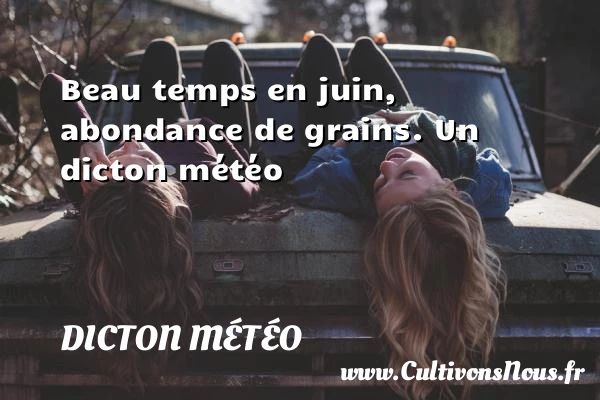 Beau temps en juin, abondance de grains. - Dicton météo