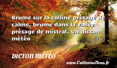 Brume sur la colline présage de calme, brume dans la vallée présage de mistral. Un dicton météo DICTON MÉTÉO
