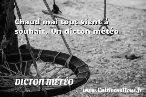 Chaud mai tout vient à souhait. Un dicton météo DICTON MÉTÉO