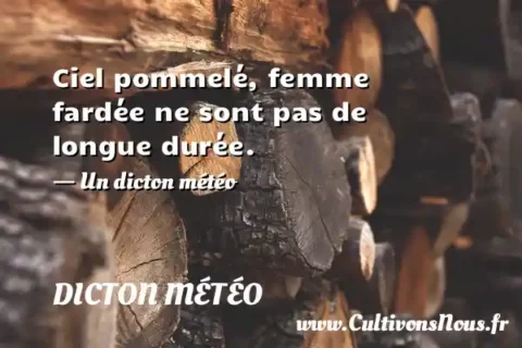 Ciel pommelé, femme fardée ne sont pas de longue durée. - Un dicton météo DICTON MÉTÉO