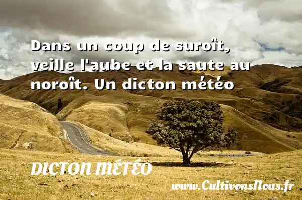 Dans un coup de suroît, veille l aube et la saute au noroît. Un dicton météo DICTON MÉTÉO