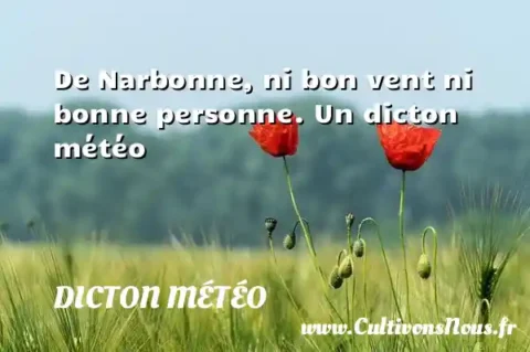 De Narbonne, ni bon vent ni bonne personne. Un dicton météo DICTON MÉTÉO