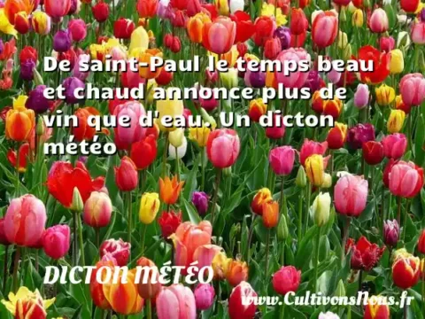 De saint-Paul le temps beau et chaud annonce plus de vin que d eau. Un dicton météo DICTON MÉTÉO