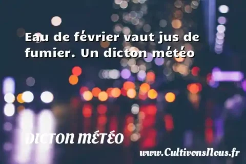 Eau de février vaut jus de fumier. Un dicton météo DICTON MÉTÉO