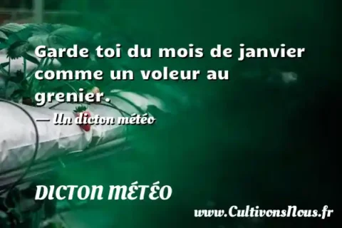 Garde toi du mois de janvier comme un voleur au grenier. - Un dicton météo DICTON MÉTÉO