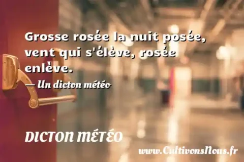 Grosse rosée la nuit posée, vent qui s élève, rosée enlève. - Un dicton météo DICTON MÉTÉO