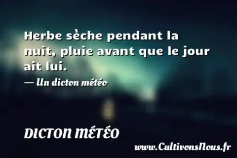 Herbe sèche pendant la nuit, pluie avant que le jour ait lui. - Un dicton météo DICTON MÉTÉO