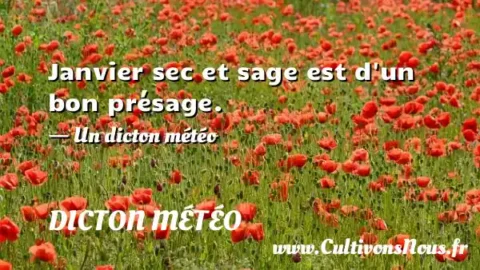 Janvier sec et sage est d un bon présage. - Un dicton météo DICTON MÉTÉO