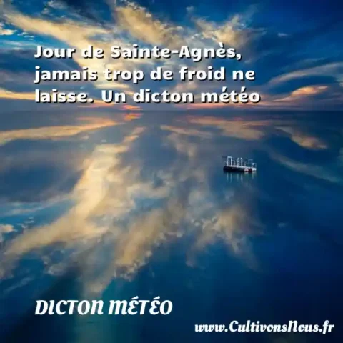 Jour de Sainte-Agnès, jamais trop de froid ne laisse. Un dicton météo DICTON MÉTÉO