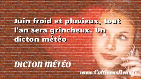 Juin froid et pluvieux, tout l an sera grincheux. Un dicton météo DICTON MÉTÉO