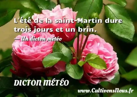 L été de la saint-Martin dure trois jours et un brin. - Un dicton météo DICTON MÉTÉO