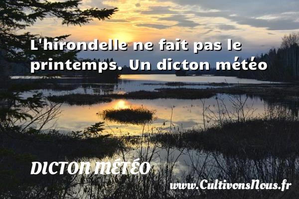 L’hirondelle ne fait pas le printemps. - Dicton météo