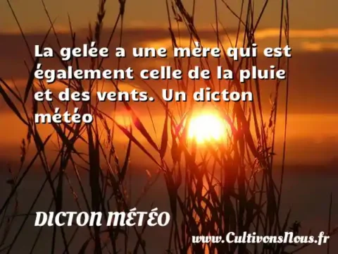 La gelée a une mère qui est également celle de la pluie et des vents. Un dicton météo DICTON MÉTÉO