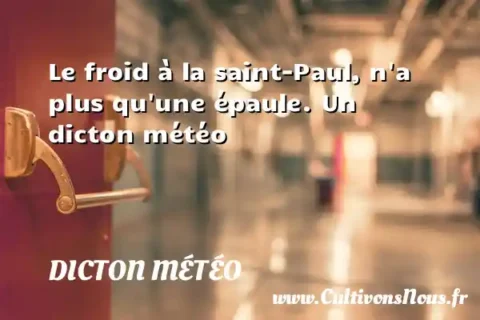 Le froid à la saint-Paul, n a plus qu une épaule. Un dicton météo DICTON MÉTÉO