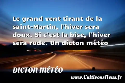Le grand vent tirant de la saint-Martin, l hiver sera doux. Si c est la bise, l hiver sera rude. Un dicton météo DICTON MÉTÉO
