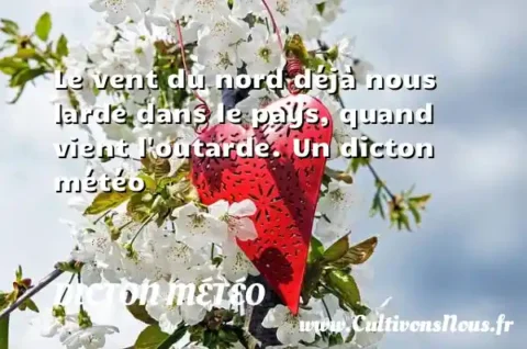 Le vent du nord déjà nous larde dans le pays, quand vient l outarde. Un dicton météo DICTON MÉTÉO