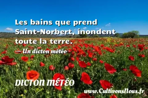 Les bains que prend Saint-Norbert, inondent toute la terre. - Un dicton météo DICTON MÉTÉO