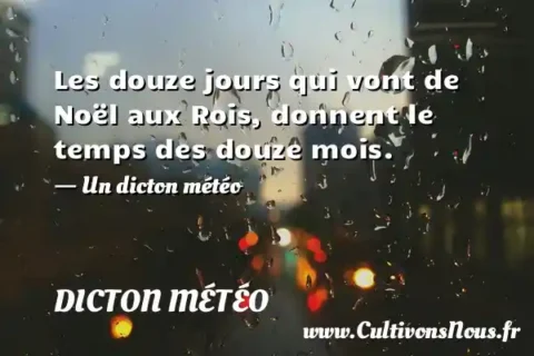 Les douze jours qui vont de Noël aux Rois, donnent le temps des douze mois. - Un dicton météo DICTON MÉTÉO