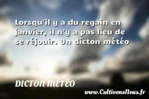 Lorsqu il y a du regain en janvier, il n y a pas lieu de se réjouir. Un dicton météo DICTON MÉTÉO
