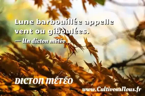 Lune barbouillée appelle vent ou giboulées. - Un dicton météo DICTON MÉTÉO