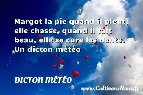 Margot la pie quand il pleut, elle chasse, quand il fait beau, elle se cure les dents. Un dicton météo DICTON MÉTÉO