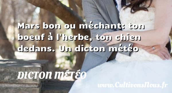 Mars bon ou méchant: ton boeuf à l’herbe, ton - Dicton météo