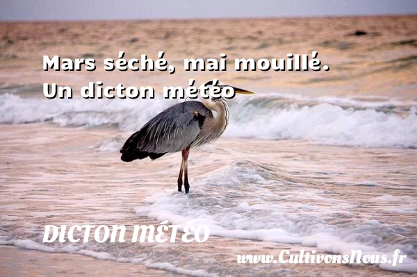 Mars séché, mai mouillé. - Dicton météo