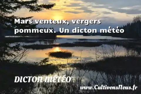 Mars venteux, vergers pommeux. Un dicton météo DICTON MÉTÉO