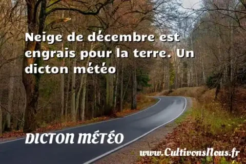 Neige de décembre est engrais pour la terre. Un dicton météo DICTON MÉTÉO