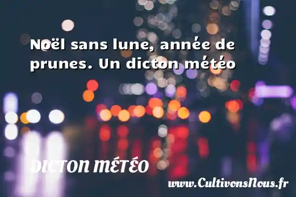 Noël sans lune, année de prunes. Un dicton météo DICTON MÉTÉO