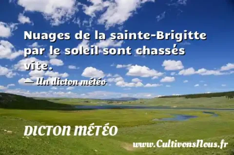 Nuages de la sainte-Brigitte par le soleil sont chassés vite. - Un dicton météo DICTON MÉTÉO