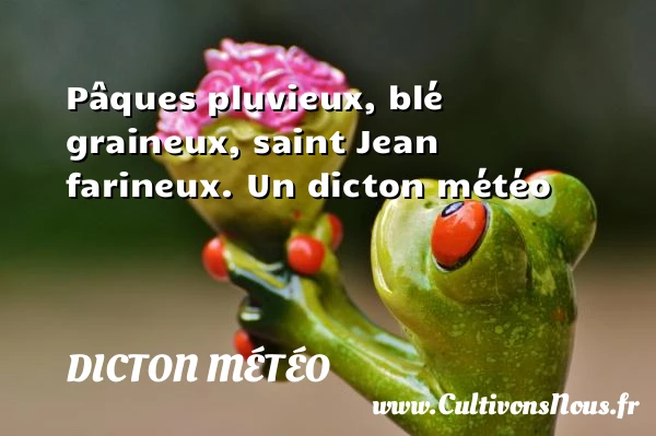 Pâques pluvieux, blé graineux, saint Jean farineux. - Dicton météo