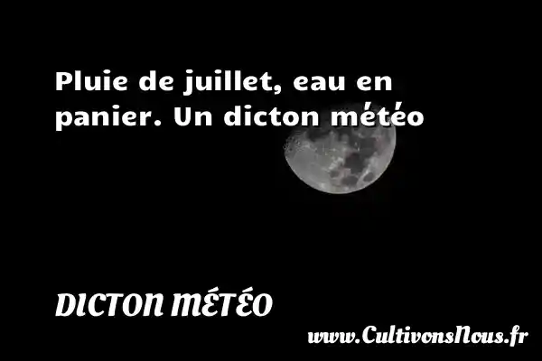 Pluie de juillet, eau en panier. Un dicton météo DICTON MÉTÉO