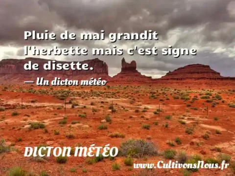 Pluie de mai grandit l herbette mais c est signe de disette. - Un dicton météo DICTON MÉTÉO