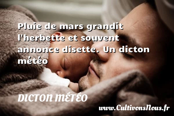 Pluie de mars grandit l’herbette et souvent annonce - Dicton météo
